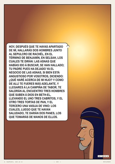 La ampolla de aceite