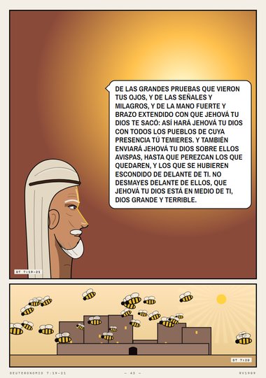 Las avispas
