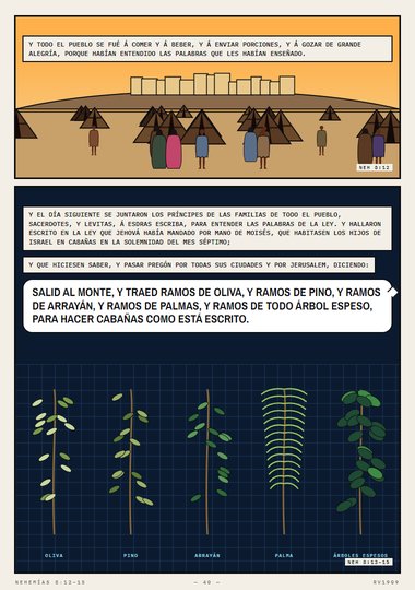 Cabañas