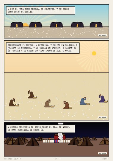 Como semilla de culantro
