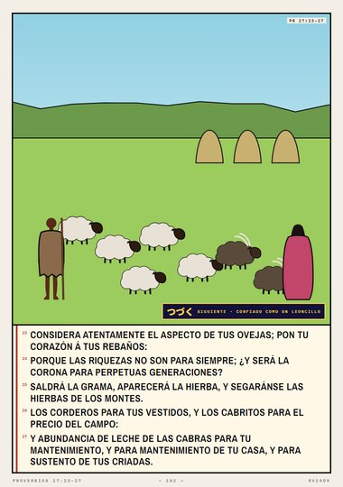 El aspecto de tus ovejas