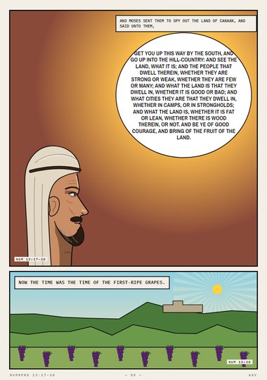 See the Land, What It Is